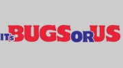Bugs Or US Termite Pest Control
