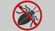 Quality Plus Pest Control