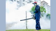 Southland Pest Solutions