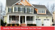 American Sentry Pest Control