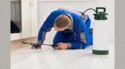 R & R Pest Control