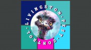 Livingston Pest Control
