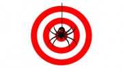 Bull's Eye Pest Control