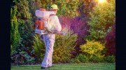 Extreme Exterminating
