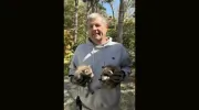A to Z Animal and Pest Control