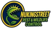 Nukingstreet Pest & Wildlife Control