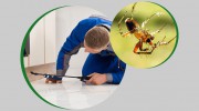 Nature-Rite Pest Management