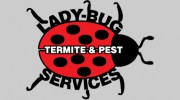 Lady Bug