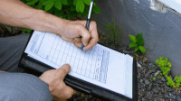 Real Estate Inspection