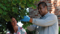 Tree & Shrub Care