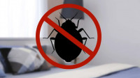 Bed Bug Heat Treatment