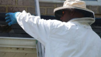 Pest Control Plan